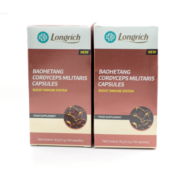 Cordyceps Militaris Capsules – Image 2